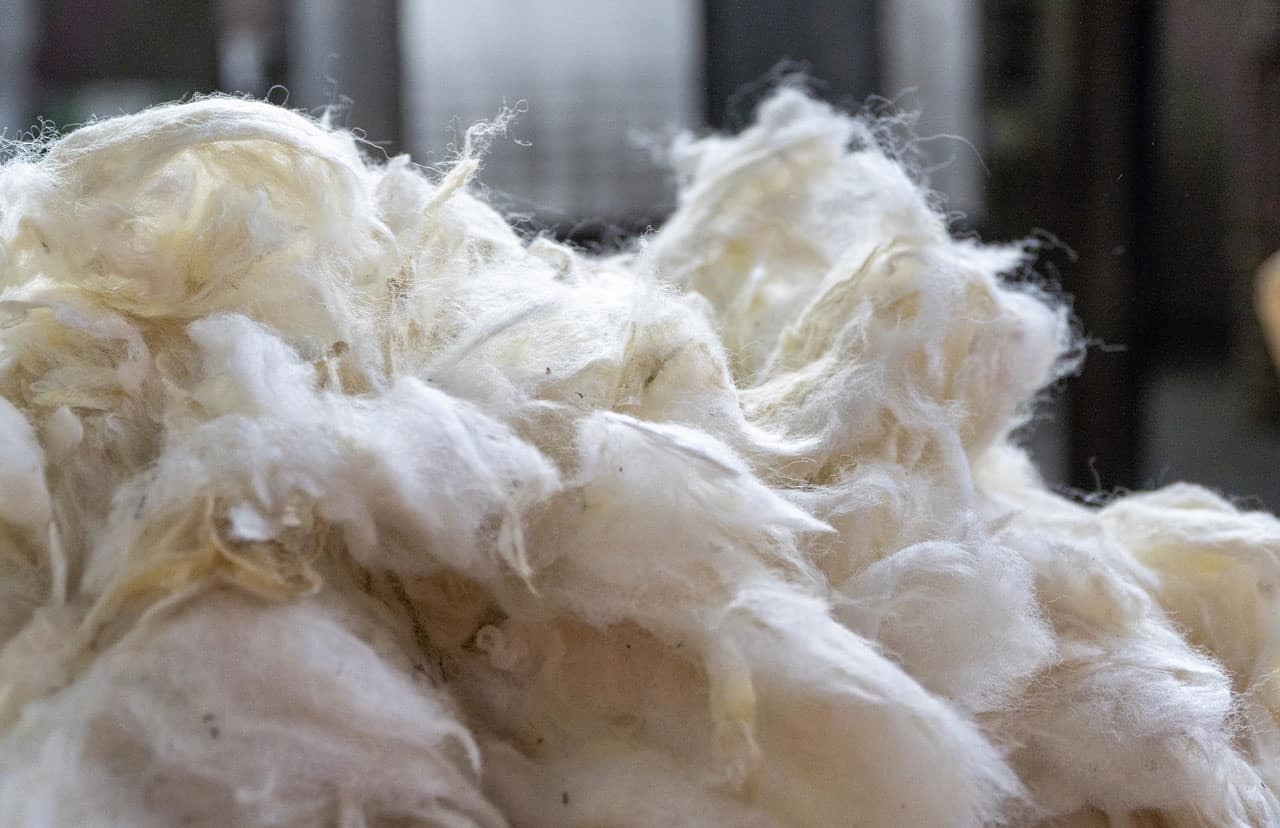 The Very Best New Zealand Wool - Victoria Carpets NZ